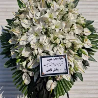 گلسرای احسان|خدمات پذیرایی، مراسم|تهران, تجریش|دیوار