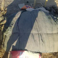 توری سایبان شید