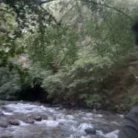 طبیعت گردی