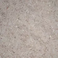 برنج فجر سوزنی خوش عطر|عمده‌فروشی|دامغان, |دیوار