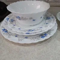 غذا خوردن ارکوپال