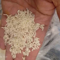 برنج هاشمی درجه یک
