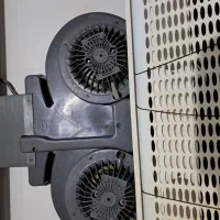 هود کن|هود|رشت, پل تالشان|دیوار