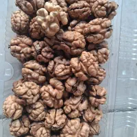 محصولات اورگانیک ومحلی