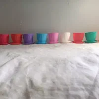 گلدان و گل در رنگ های متفاوت و زیبا|گل و گیاه طبیعی|آبیک, |دیوار