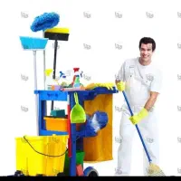 خانم برای نظافت منزل حدود یک ساعت کارفرما آقا هست