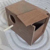 لونه پرنده و خرده وسایل پرنده