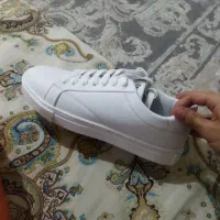 کفش مدل مینیمال|کیف، کفش، کمربند|اهواز, کمپلو جنوبی|دیوار