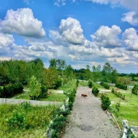 زمین۲۲۴متری*داخل شهرک*قابلیت ساخت انشعابات روی ملک