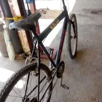 دوچرخه 26ویوا|دوچرخه، اسکیت، اسکوتر|دیواندره, |دیوار