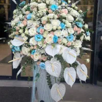 گلفروشی انلاین|گل و گیاه طبیعی|شیراز, سیلو|دیوار