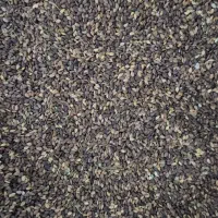 فروش کنجد|خوردنی و آشامیدنی|کامفیروز, |دیوار