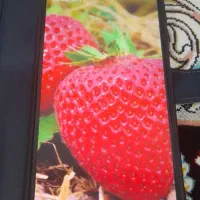 شیاومی نوت ۱۰s|موبایل|سنقر, |دیوار