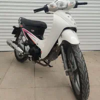 بی کلاج ۱۴۰۳ کویر خشک