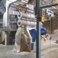 خوراک دام و طیور