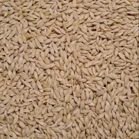 جو آرپا دیمی آبی درجه‌ 1