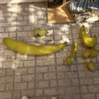 تابلو چلیوم  پرژکتور لامپ مهتابی