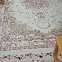 فرش دوتا۶متری درحدنوع دونه ای ۴تومن