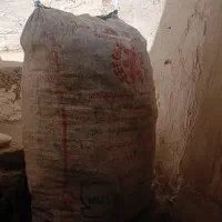 زغال