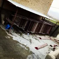 قالیشویی وزیری|خدمات نظافت|اسفراین, |دیوار