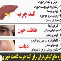 ۴۷٪ مردم بیرجند در خطر کبد چرب|خدمات آرایشگری و زیبایی|بیرجند, |دیوار