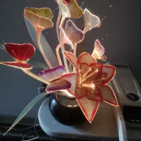 سلام شب خواب هفت رنگ در رنگهای متفاوت