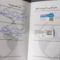 پامر|سگ|چهارباغ, |دیوار