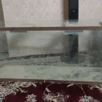 اکواریوم سالم بزرگ
