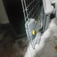 باکس سگ سایز۶تا۵۰کیلو