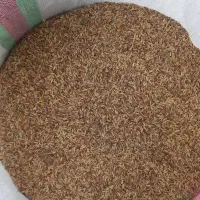 بار چلتوک رسید کیلو۱۲۰ چلتوک شوشتر