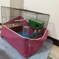 مرغ عشق باهمه وسایل