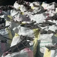 فروش زغال کبابی