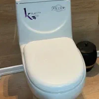 فرنگی کاتیا ، والهنگ ، استراکچر مدل های متنوع|لوازم سرویس بهداشتی|الوند, |دیوار