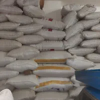 فروش گندم بوجاری شده