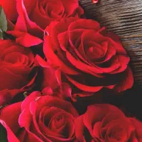 فروش دوربین دیجیتال