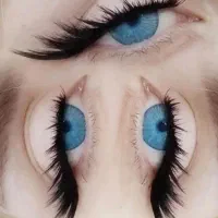 آموزش تخصصی کاشت مژه و لیفت ابرو|خدمات آموزشی|کرج, حیدرآباد|دیوار