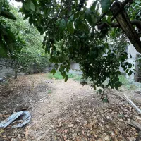 ویلا 420متری سندار جاده آمل به فریدونکنار|فروش خانه و ویلا|دابودشت, |دیوار