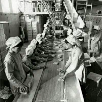 استخدام نیروی کار «خانم» / بسته‌بندی خط تولید