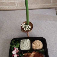 ارسال ناهار و شام خوشمزه و سلامت|خدمات پذیرایی، مراسم|تهران, شهرک چیتگر|دیوار