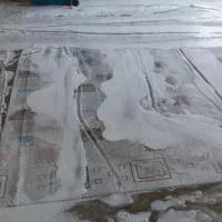 قالیشویی سلیمان