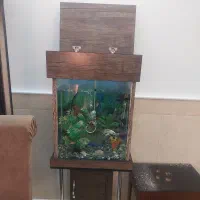 آکواریوم کمدی باماهی وپمپ|ماهی|قم, باغ کرباسی|دیوار