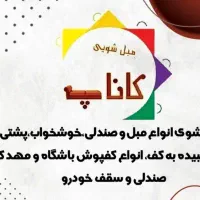 مبل شویی تخصصی کاناپه