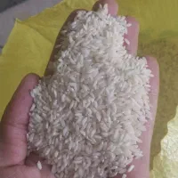 برنج عنبربو درجه اعلا ب شرط