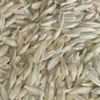 5تن جو خارجی