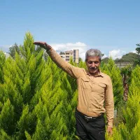 نیازمندیک کارگرساده