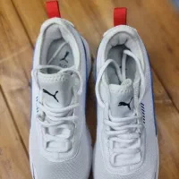 کتونی اسنیکر اورجینال پوما|کیف، کفش، کمربند|تهران, دروازه شمیران|دیوار