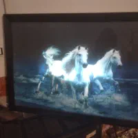 قاب عکس چراغ دار|تابلو، نقاشی، عکس|سبزوار, صالح آباد|دیوار