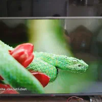 تلویزیون ۴۳ ال جی  ال ای دی