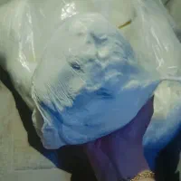 کره گاوی با کیفیت