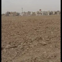 زمین-پشت-سایپا